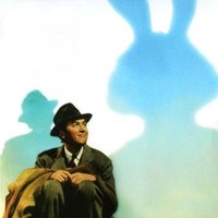 Shenan Stanley Email & Phone Number