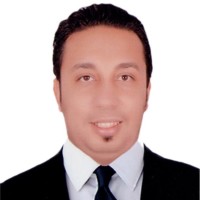 Shawky Hamada Email & Phone Number