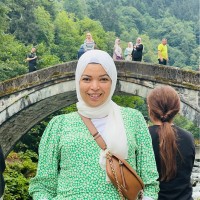 Walaa Ibrahim Email