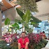 Ramesh Herle Email