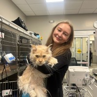 Mission | Overland Park Veterinary Emergency & Specialty Employee Madison Isaacson's profile photo