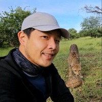 ContactOut  Employee Rob Liu's profile photo