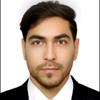 Homayoun Raoufi Email