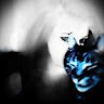 Nyras Employee Aryn Rott's profile photo
