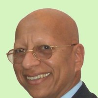 Mahmoud Hefny Email
