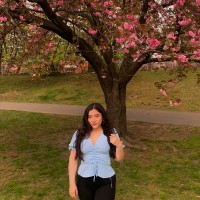 Shamrock Technologies, Inc. Employee Melanie Torres's profile photo