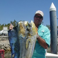 Chris Clem Email & Phone Number