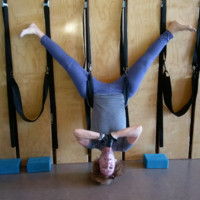 Circuit Employee Ynette Shelkin's profile photo