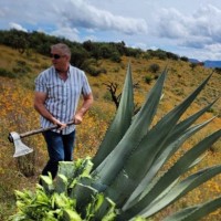 Bosscal Mezcal Company & Distillery Employee Stuart McGuire's profile photo
