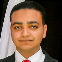 Ahmed Bakry Email