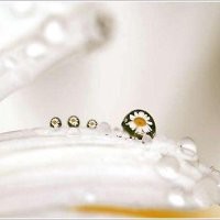 Danaher Sensors and Controls Employee Kimberly Powell's profile photo