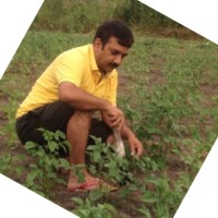 Subodh Singh Email & Phone Number