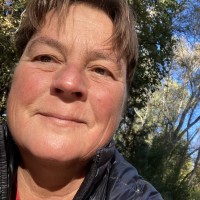 Independent Technology & Operations Consulting Employee Chris Dohmen's profile photo