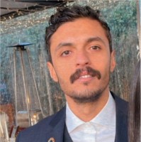 Amr El-Alfi Email