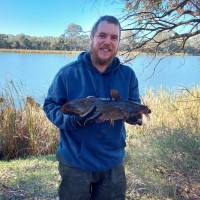 Ecology Australia Pty Ltd Employee Bryce Halliday's profile photo