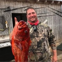 Andrew Wilhelm Email & Phone Number