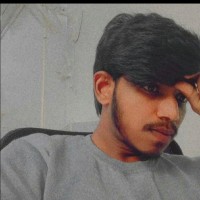 Halston Software Employee Dasharath N's profile photo