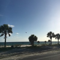 Cassie Kimberlin Email & Phone Number