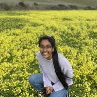 ALL ABOUT BEHAVIOR, LLC Employee Hiral Patel's profile photo
