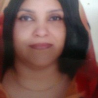 Gateway Community Services, Inc. Employee Taysier Shaaeldin's profile photo