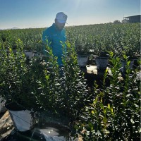 Wearedidihu Employee Daniel Humberto Rios Villegas's profile photo