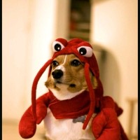 Dawson Wallace Construction Ltd. Employee Tyrell Allen's profile photo