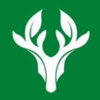 STAG Securities Employee Jeff Elman's profile photo