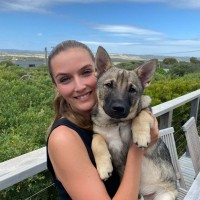 Royal Canin Employee Alex Lemon's profile photo