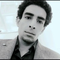 Ahmed Ashry Email