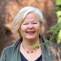 Deb Doyle Email & Phone Number