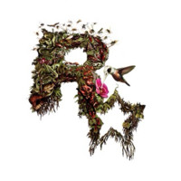 Rockstar Games Employee Rowan Hajaj's profile photo
