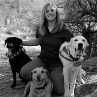 Mealtime Connections, LLC Employee Danielle Olsson's profile photo