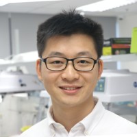 Lucence Employee Hao Chen's profile photo
