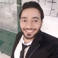 Systems Engineering of Egypt - SEE Employee Ahmed Elzuaidy's profile photo