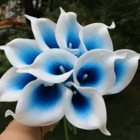 Yanli Coleman Email & Phone Number