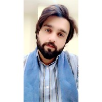 SoftoSol Employee Talha Malik's profile photo