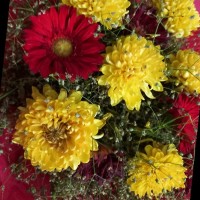 IBM Employee Priyanka Dutta's profile photo