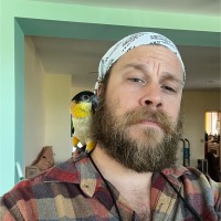 Jewelry Creations Inc Employee Alex Kogod's profile photo