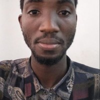 NIGERCHIN ELECTRICAL DEVELOPMENT COMPANY LIMITED Employee Oluwatobiloba Edun's profile photo