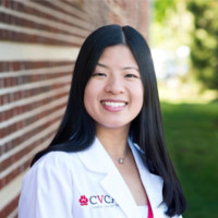 CVCA Cardiac Care for Pets Employee Julia Shih's profile photo