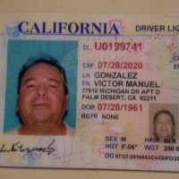 Victor Manuel Email & Phone Number