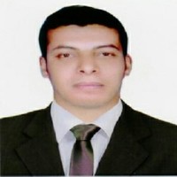 Mohamed Gamal Email