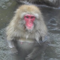SAQ Employee Liam Pierce's profile photo