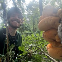 Tree Mann Solutions Employee Ashton Puckett's profile photo