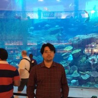 Sapra Group Co / گروه شرکت های ساپرا Employee Pedram Roudgarmi's profile photo
