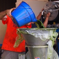 Impossible Foundation Employee Patrick Brown's profile photo