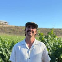 Anthony Giorgi Email & Phone Number