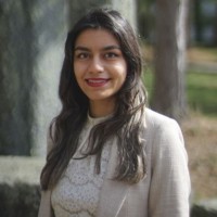 LIMSEO Employee Avin Irannezhad's profile photo