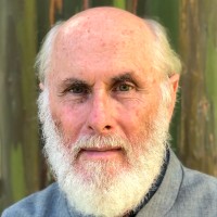 David Frawley