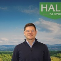 Halls Employee Francesco Coppola's profile photo